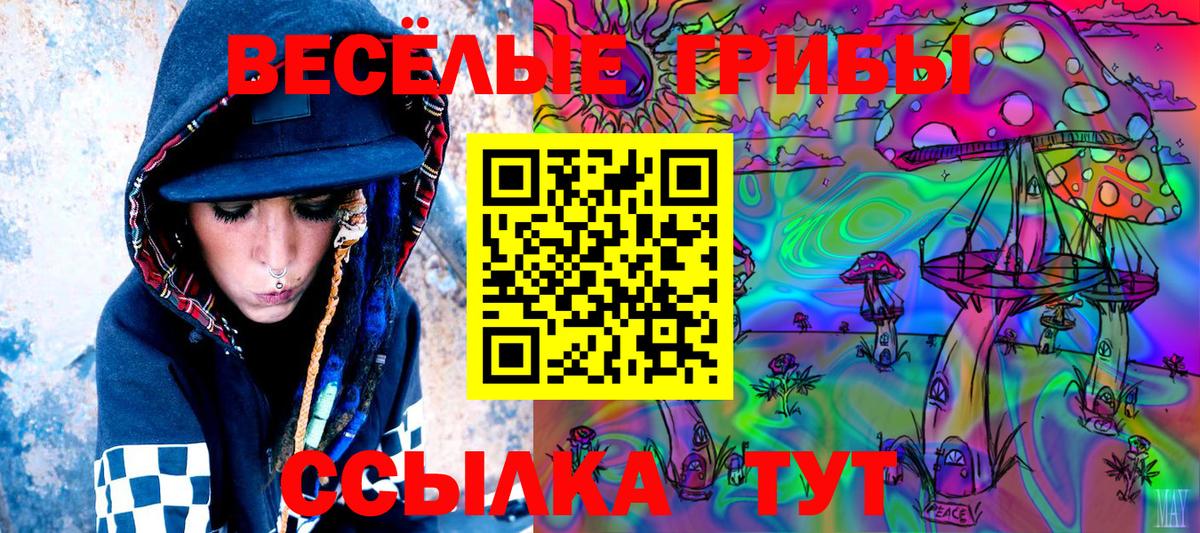 Бугуруслан  Галлюциногенные грибы Cubensis  Вход с VPN 