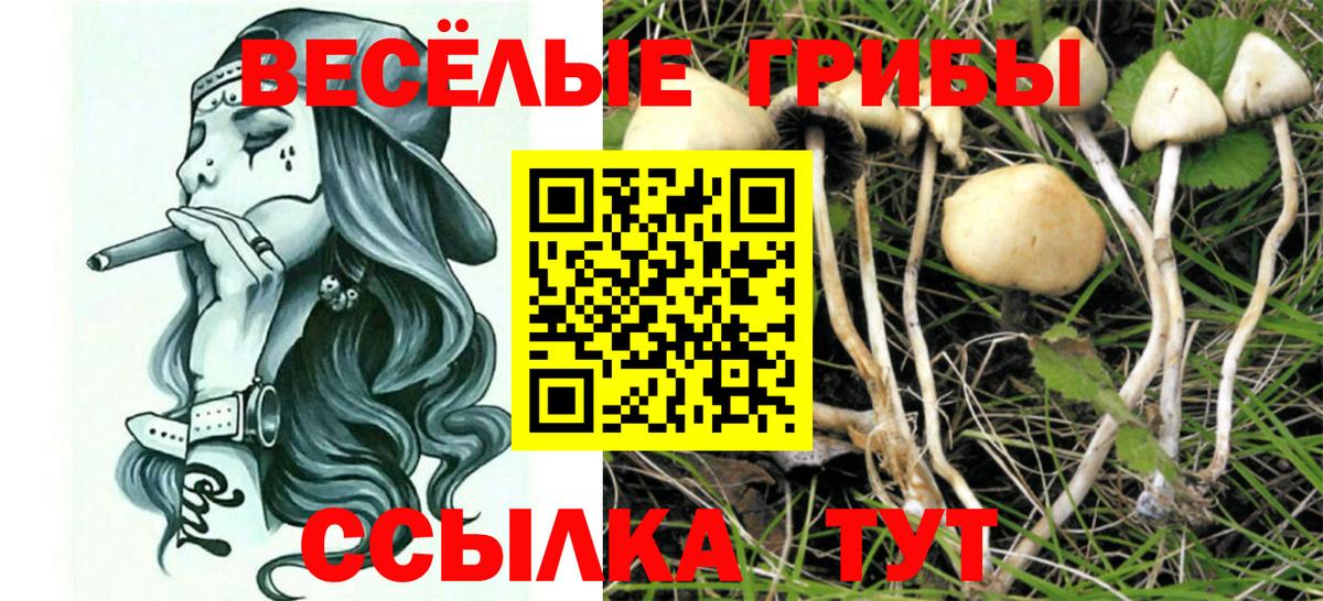 ГАШИШ Бугуруслан